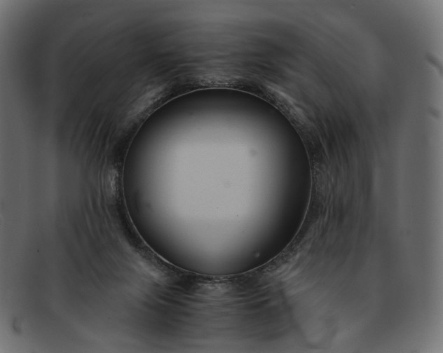 X0000091880071200709191205