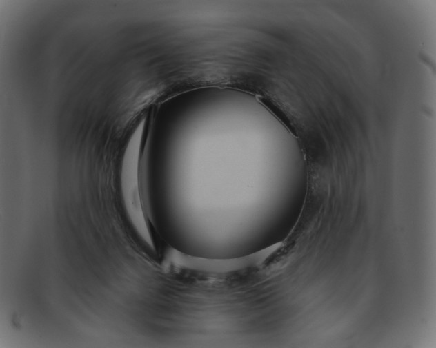 X0000091880072200709191205