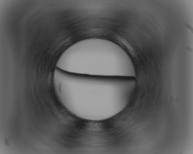 X0000091880073200709191205