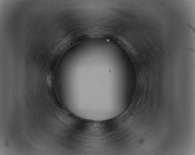 X0000091880074200709191205