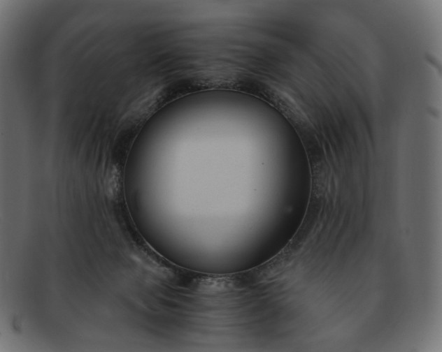 X0000091880077200709191205