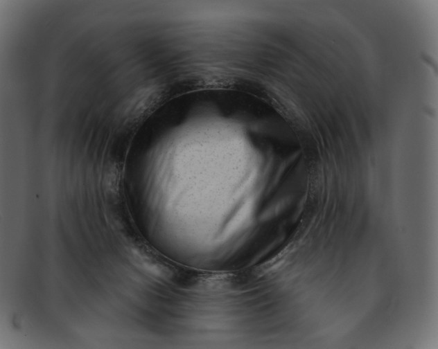 X0000091880078200709191205