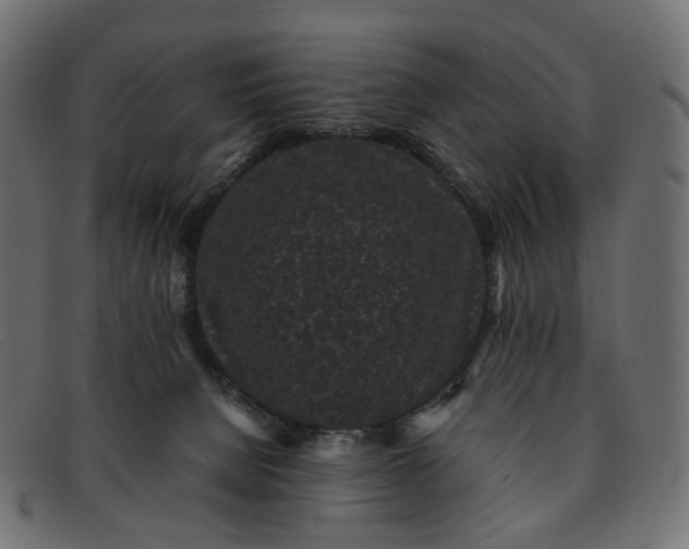 X0000091880080200709191205