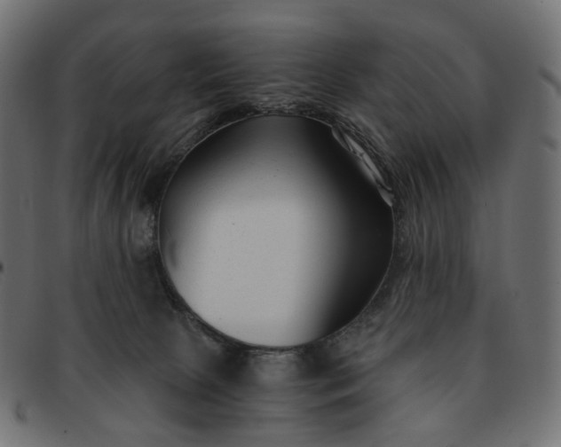 X0000091880081200709191205