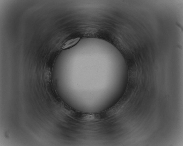 X0000091880083200709191205