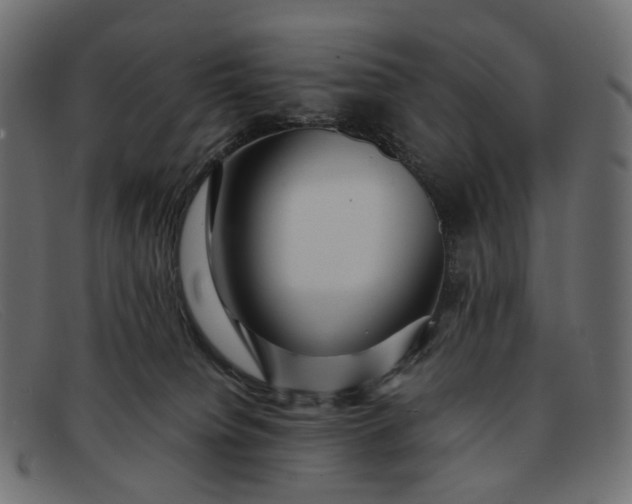 X0000091880084200709191205