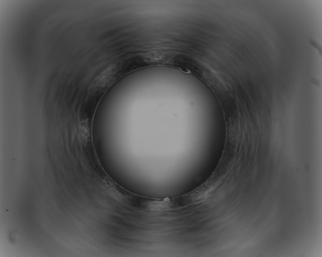 X0000091880085200709191205