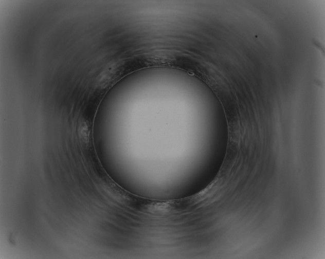 X0000091880086200709191205