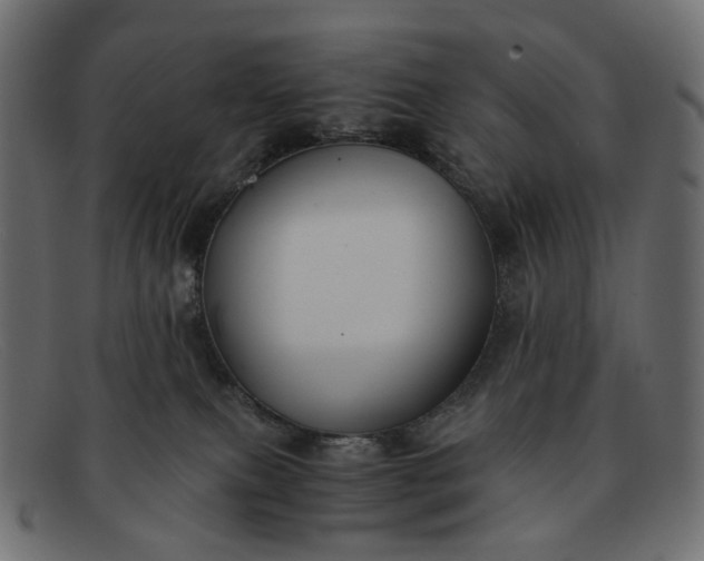 X0000091880087200709191205