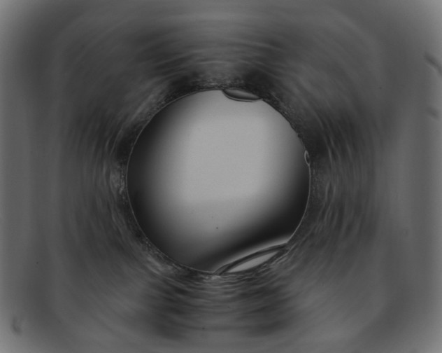 X0000091880091200709191205