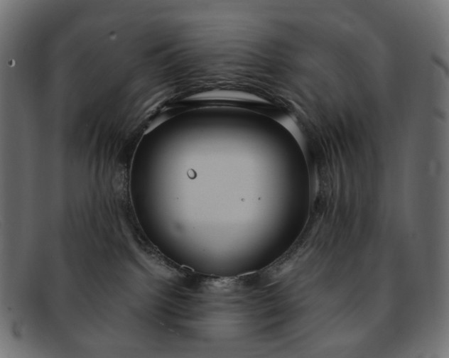 X0000091880092200709191205