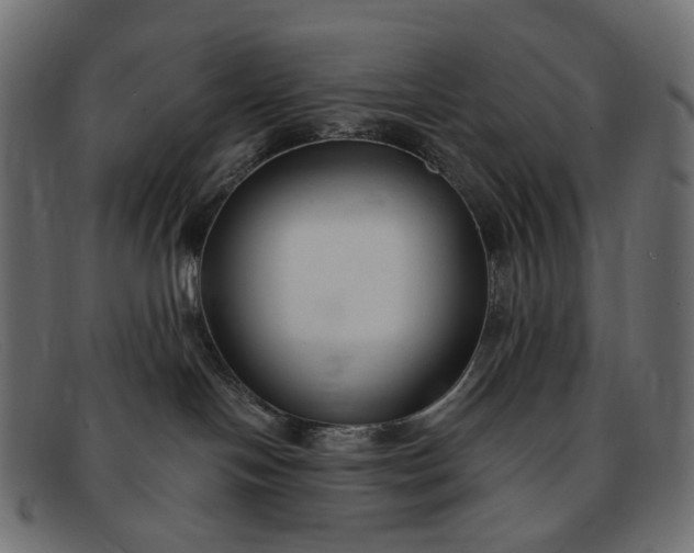 X0000091880094200709191205