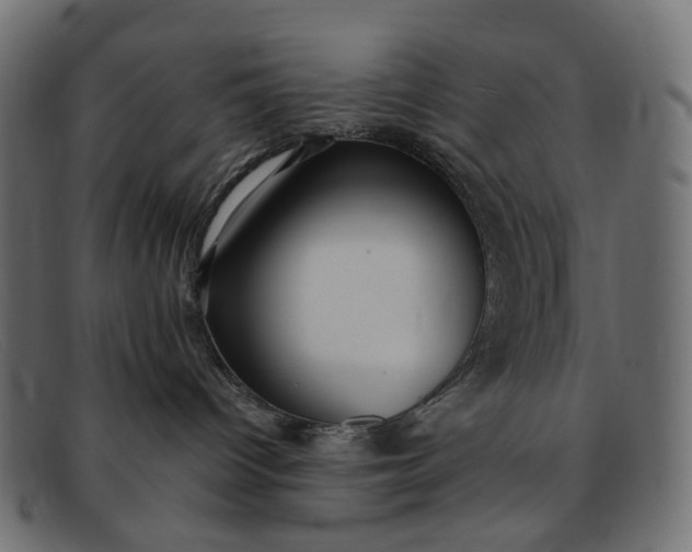 X0000091880096200709191205