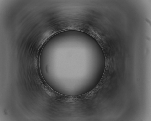 X0000091880098200709191204