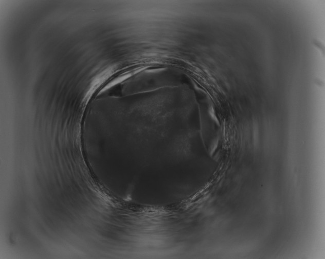 X0000091880099200709191204