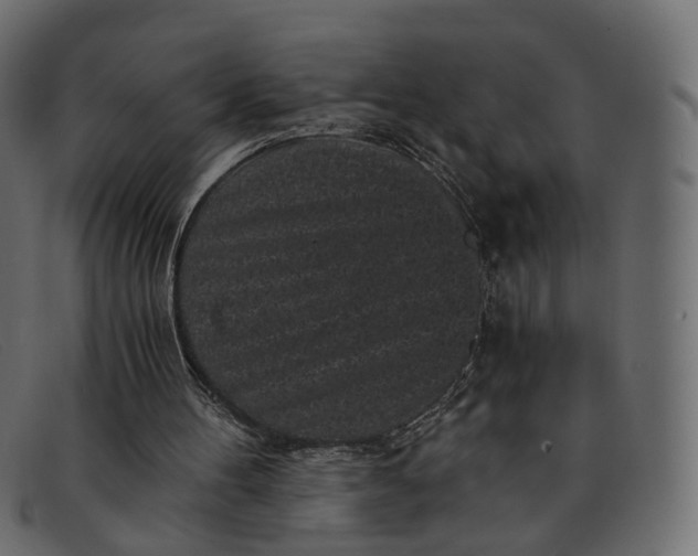 X0000091880100200709191204