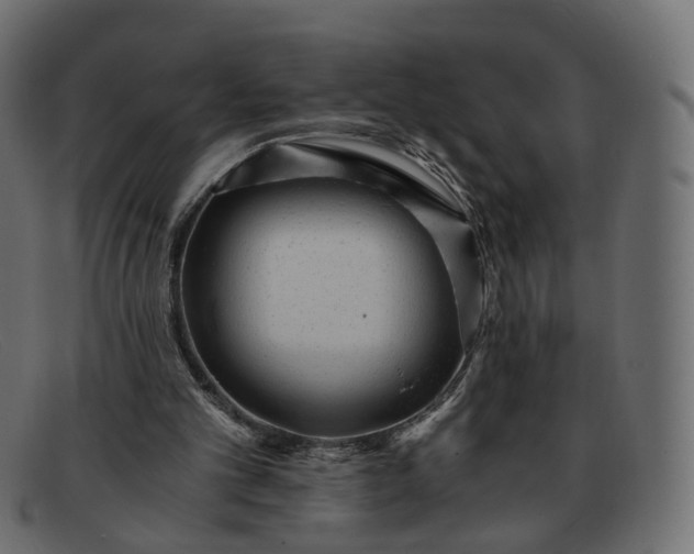 X0000091880101200709191204