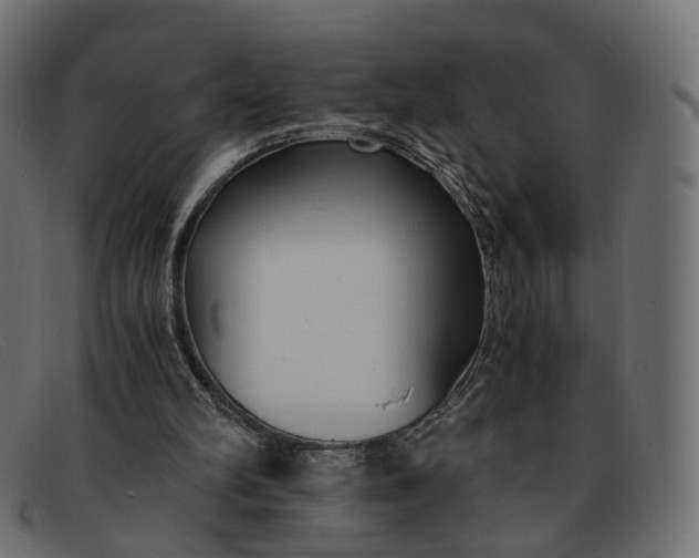 X0000091880102200709191204