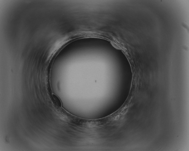 X0000091880103200709191204