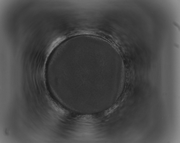 X0000091880104200709191204