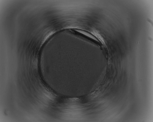 X0000091880108200709191204