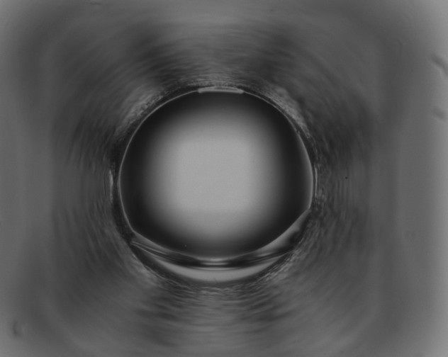 X0000091880109200709191204