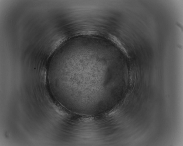 X0000091880110200709191204