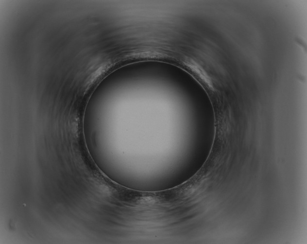 X0000091880111200709191204