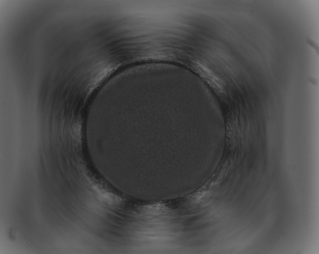 X0000091880112200709191204