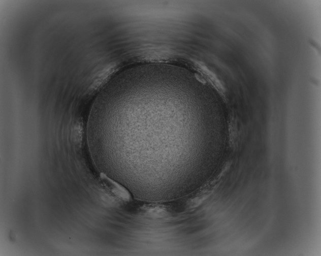 X0000091880113200709191204