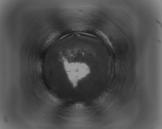 X0000091880114200709191204