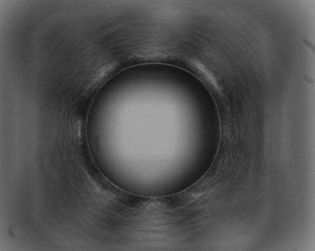 X0000091880115200709191204