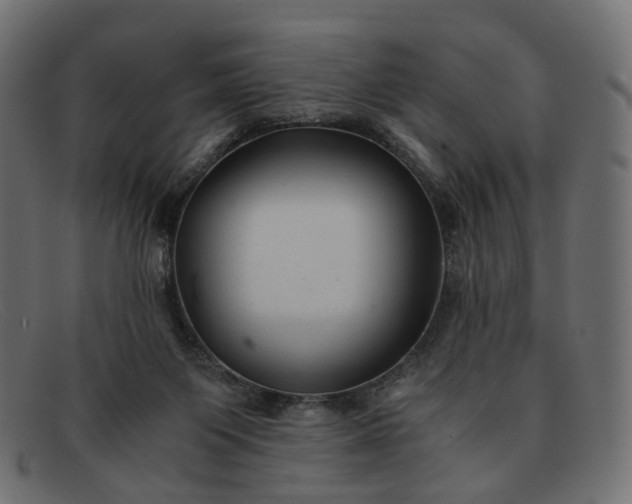 X0000091880119200709191204