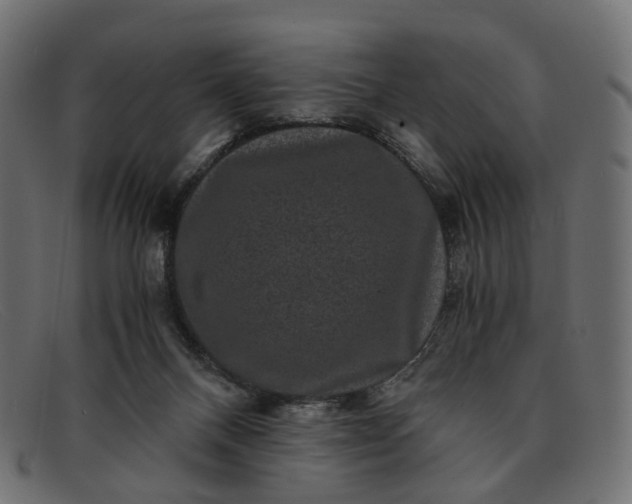 X0000091880120200709191204