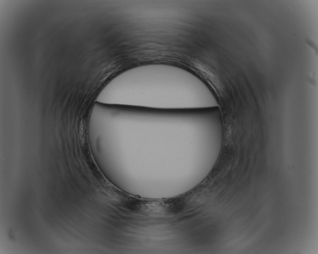 X0000091880121200709191204