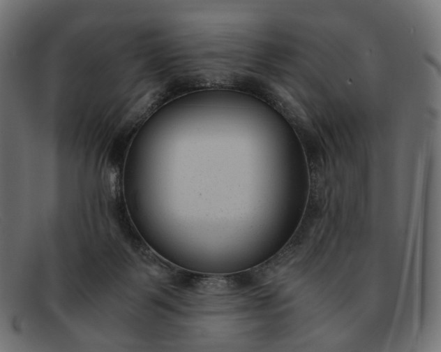 X0000091880123200709191204