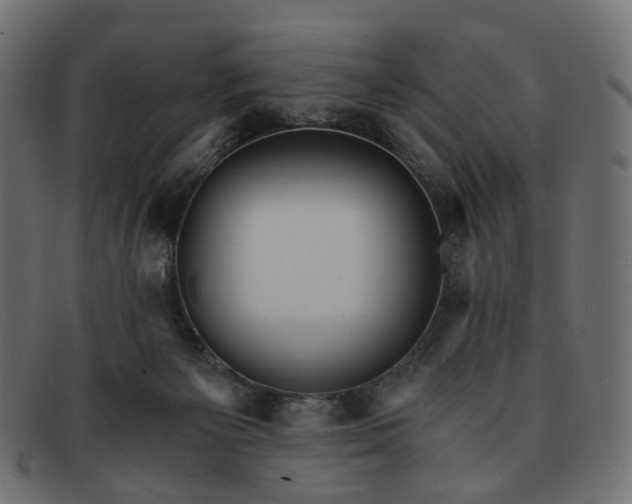 X0000091880125200709191204