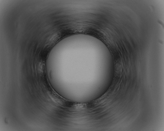 X0000091880126200709191204