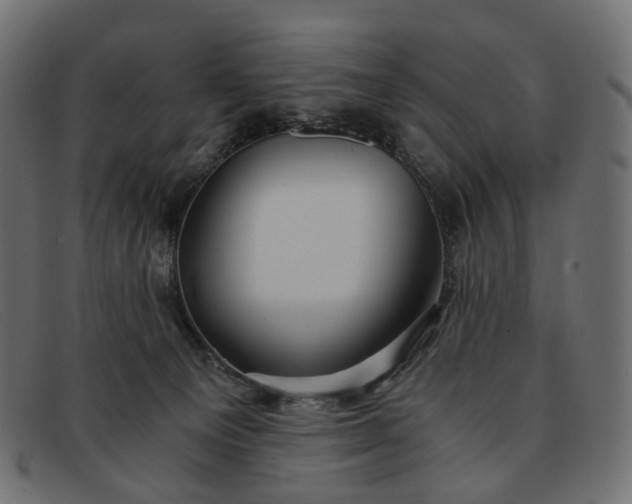 X0000091880129200709191204