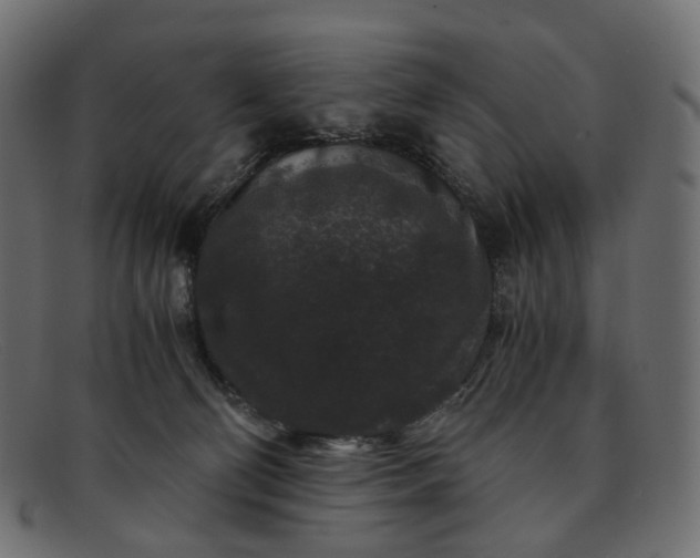 X0000091880130200709191204