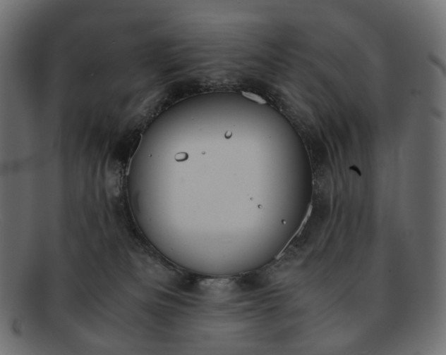 X0000091880133200709191204