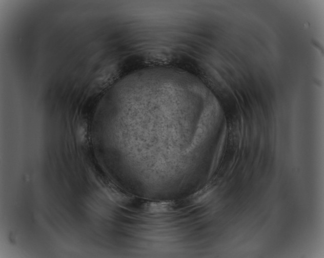 X0000091880134200709191204