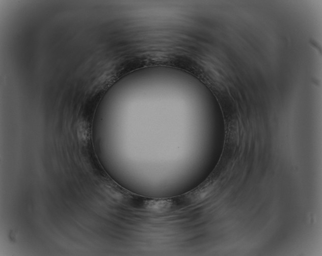 X0000091880135200709191204