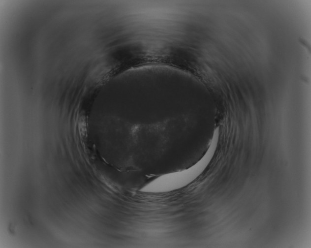 X0000091880137200709191204