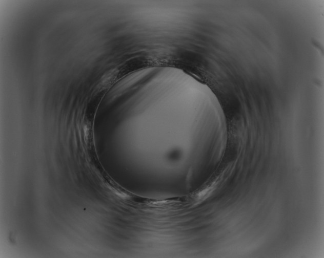 X0000091880139200709191204