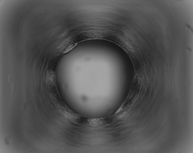 X0000091880141200709191204