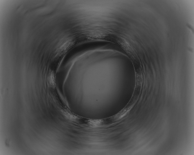 X0000091880143200709191204