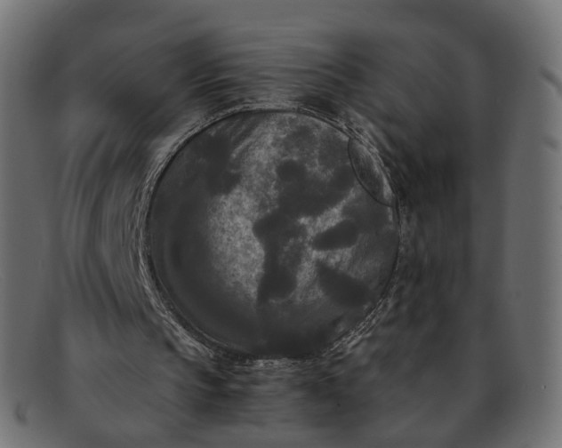 X0000091880145200709191203