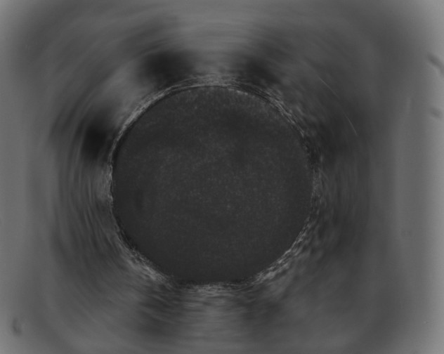 X0000091880146200709191203