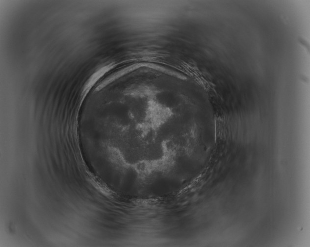 X0000091880147200709191203